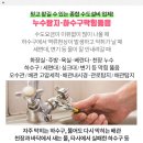 대운자동차정비공업사