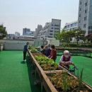 강서시니어스주야간보호센터 | 강서데이케어센터 비용, 식단, 프로그램 서울시니어스 강서주간보호센터 총정리