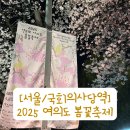 2025 회룡포 봄꽃축제 | [서울/국회의사당역] 2025 영등포 여의도 봄꽃축제 후기 가는법 기간 행사일정 이벤트 개화상태