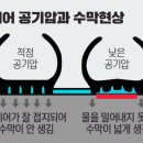 춘천타이어 이미지