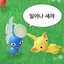 월드미디어 이미지