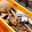 한국전쟁 진주지역  이미지