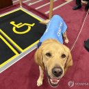 생을 바쳤으나 돌아오는 건 없었다! 이미지