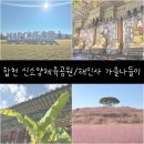 합천군농기계대여은행 | 합천 신소양체육공원/해인사/영상테마파크 가을시티투어 내돈내산 후기