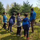 고인돌 역사공원 이미지