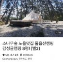 [고창여행] 전북 고창 글램핑 ‘캠프 메리어라운드’ 벨텐트 후기 (에어비앤비 예약)