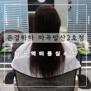 마곡역미용실 다은 디자이너 전체염색 후기 은결하다 마곡발산2호점
