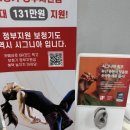 시그니아독일보청기사하센터