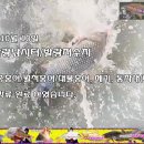 20231010 파주 발랑낚시터/발랑저수지 방류소식 "리얼" 붕어/토종붕어/월척붕어/대물붕어, 메기, 동자개(빠가사리) 350kg 방류 이미지