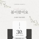 [광주폴댄스] 오브폴스튜디오 봄이벤트 최대 30%할인🌸