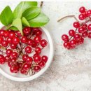 강원농장 이미지