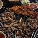 맥반석숯불꼼장어 | [대전 대흥동 맛집]원조 황소집 후기! 꼼장어,숯불 고기