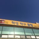 학성탁구클럽