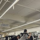 리라 핏 이미지