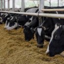 하나가축약품 이미지