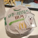 고추노래방