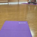 디케이바이오 | [임신 29~32주 차] 여름 일상 모음