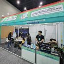 아르피나 이미지