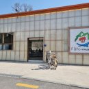 Big Dog(빅독) | 고양시 반려견과 함께 즐기는 행복한 시간: 애견 동반 카페 6선 추천