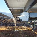 선명태양광발전소 이미지