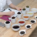 티소믈리에 양성과정 이미지