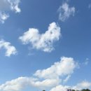 꼬꼬베리덕 | 뒤죽박죽 일상