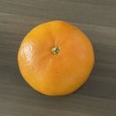 황금알 농장 | 농협은행올원뱅크 : 올리네농장 당첨 후기 (황금알 천혜향)