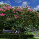 경주시립노인전문요양병원 이미지