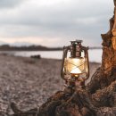 갇힌 사랑의 새를 풀어 당신에게로 - 이정하 이미지