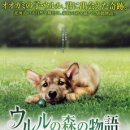 숲이야기 이미지