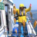 장호바다민박 이미지