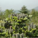 소리구상 이미지