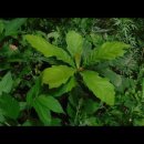 240613(수) 국민건강보험공단의 &#39;집씨통&#39; 참여를 환영합니다 이미지