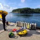 선인장 여관 이미지