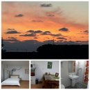 한수풀동물병원 이미지