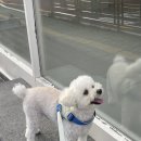 보리보리쌀 이미지