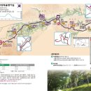 춘양면사무소 | 토요일은걷기좋아:춘양목솔향기길