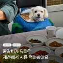 의병대로15길 | 제천중앙시장 애견동반식당 가볼만한곳 우미관 단독룸 물갈비 후기!