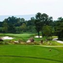 대국골프 이미지