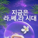 라라코리아 - 서귀포시 | 라라코리아