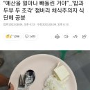 잼버리예산 1000 억 살살 녹아.. (채식식단 보소) 이미지