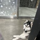 똘이PC방 이미지