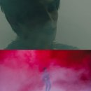 스페셜독 이미지