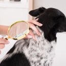 서수원동물병원 이미지