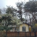 민트초코캠핑장 네이버블로그