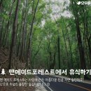 보물섬여행사 - 제주시 연삼로 27 | 보물섬여행사