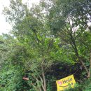 화성골프랜드 이미지