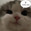 아산병원 공포의 임당 검사 후기 / 임당 통과 꿀팁 - 25주차 임신일기
