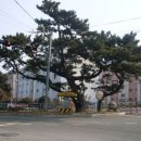 와현해수욕장(서) 이미지