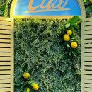 용산-414 이미지